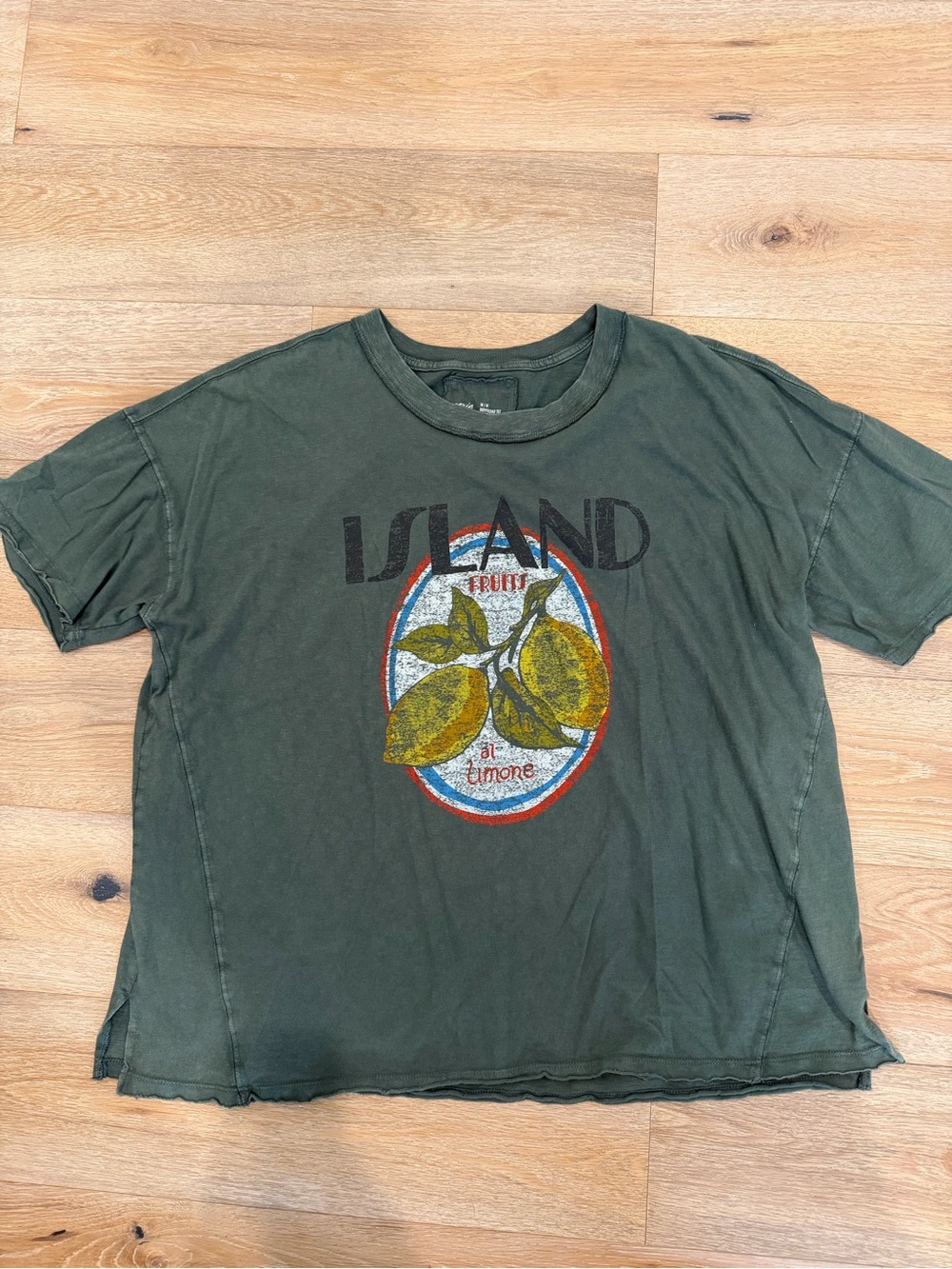 Aerie boyfriend tee island fruit M